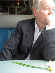 Causes, origines et vertus de la cuisine ouverte