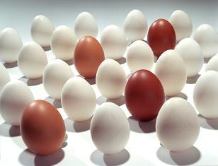 Alimentation des Français : une histoire du futur
